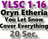 You Let Snow Cover Every