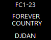 forever country remix.