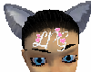 Gray Cat Ears