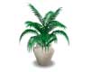 POTTED PLANT 11