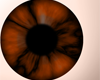 Orange Instinct Eyes (F)