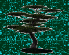 Trees Japan