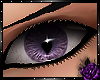Zera purple (M)