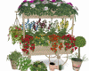 Stand Market Flowers