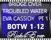 BRIDGE TROUBLED WATER 1