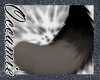 Windo Tail 1