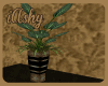 !A Plant 1