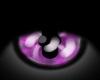 Purple Confetti M Eye