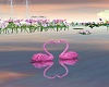 LIA - Flamingos