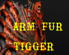 tigger arm fur