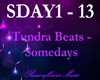 Tundra Beats - Somedays