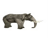 (SS)Safari Elephant