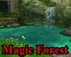  ! Magic Forest