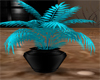 Teal plant