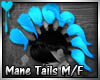 D~Mane Tails: Blue