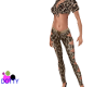 Jungle Jane leopard RLS