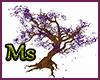 Leaves Purple Tree