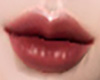 *add Lip 02