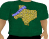 TEXAS T