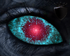 Anubis  Eye M
