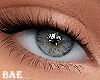 β. Real Eyes Gray Haze