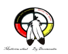 medicine wheel sticker