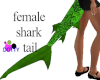 Green shark tail