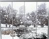 [LBz] Window Winter