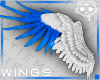 Wings WhiteBlue 4a Ⓚ