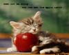Kitten with Apple