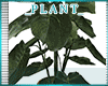 *A* LS Plant 2