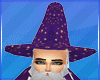 Wizard Hat Bruxo Chapeu