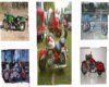 motor cycle picture set