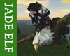 [JE] Giant Eagle Ride