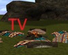 TV> Native Camping Fire
