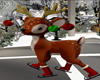 FG~ Skating Reindeer