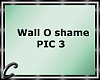 Wall O Shame PIC 3