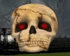 Skull Animated w/ Sound