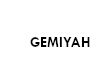 GEMIYAH CHAIN (F)