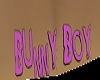 Bunny Boy Back Tat