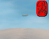 skydiving M