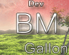 ✌ Dev| BM