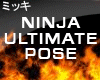 Ninja Ultimate Pose Carl