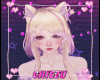 C | Blonde Pink Cat