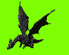 Flying Black Dragon !