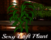 !T SexyLoft Plant