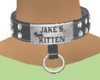Jake's Kitten Collar