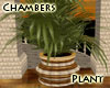 *LMB* Chambers Plant