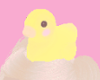 ♡ duck me