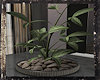 [PT] JOHA Planter